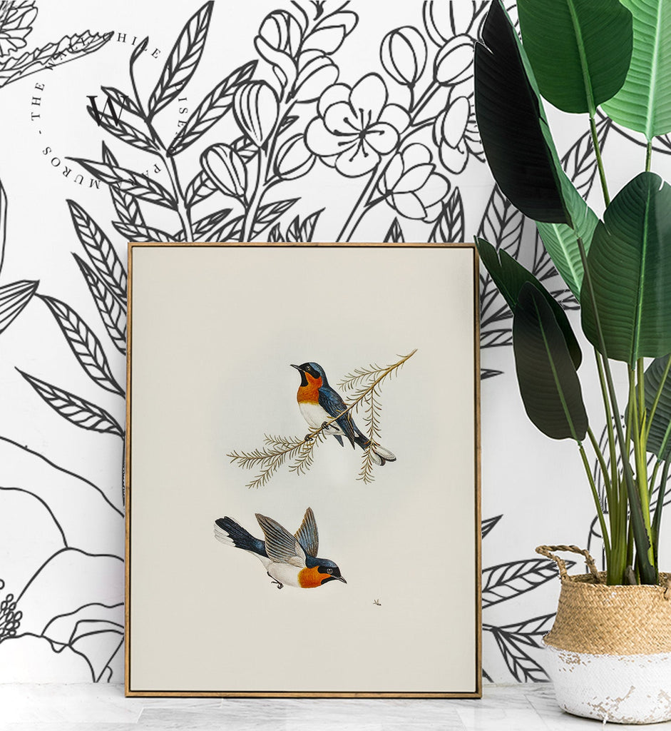 Papel Mural, Papel Pintado, Wallpaper, Mural, Empavonados, Vinilico Autoadhesivo para muros de la marca The Wall, diseño de tendencia Big Garden