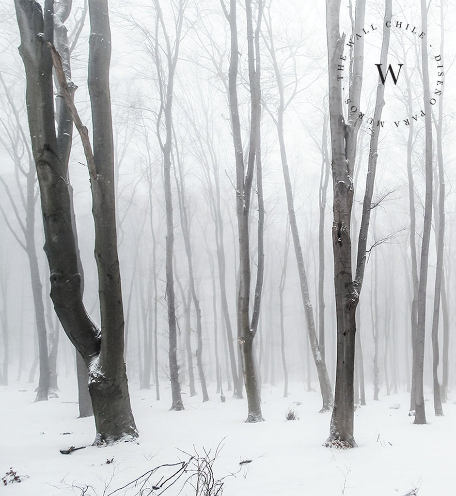 Papel Mural, Papel Pintado, Wallpaper, Mural, Empavonados, Vinilico Autoadhesivo para muros de la marca The Wall, diseño de tendencia White Forest