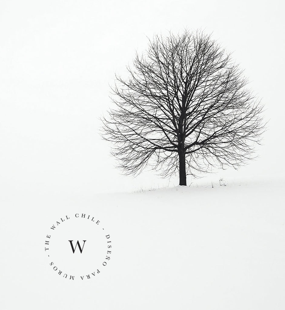 Papel Mural y Vinilico Autoadhesivo para muros de la marca The Wall, diseño de tendencia Alone